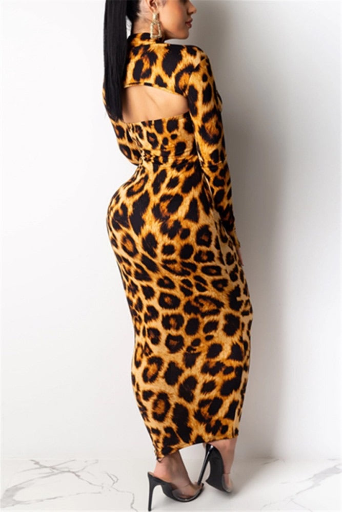 Leopard Print Dress