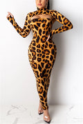 Leopard Print Dress